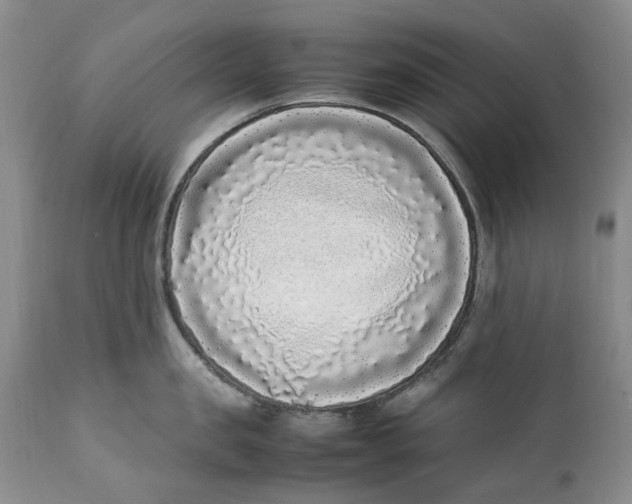 X0000112040957200908241559