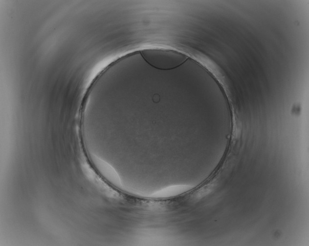 X0000112040958200908241559