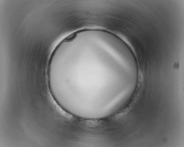 X0000112040959200908241559