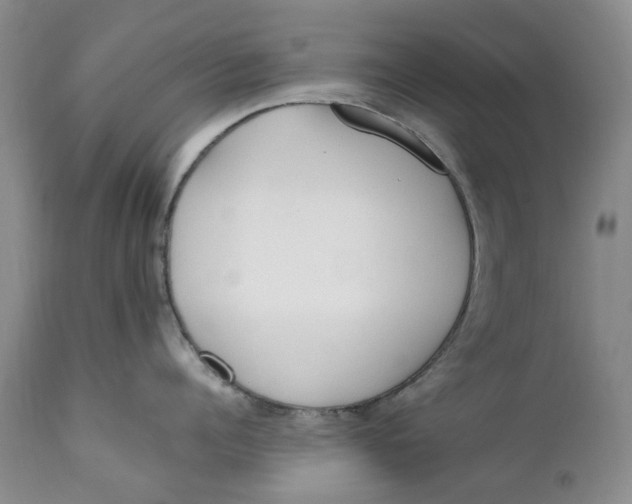 X0000112040960200908241559