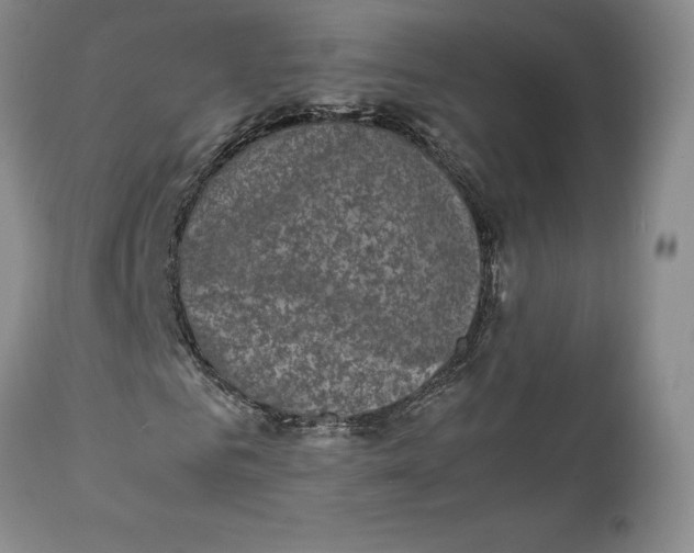 X0000112040961200908241558