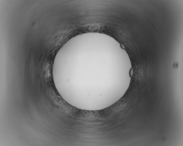 X0000112040962200908241558