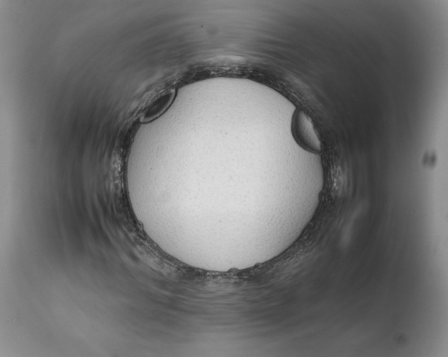 X0000112040964200908241558