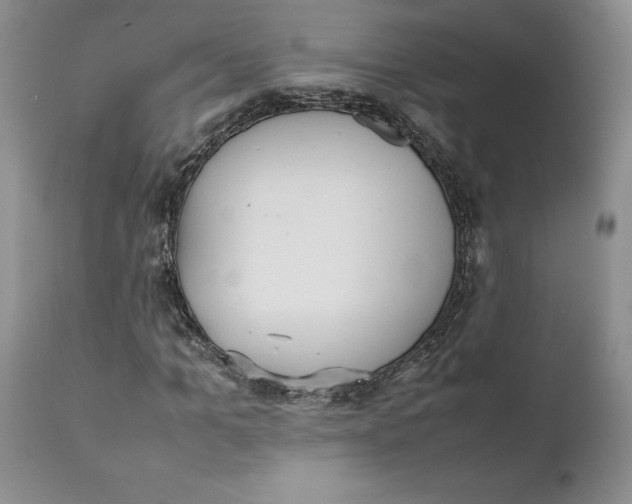 X0000112040965200908241558