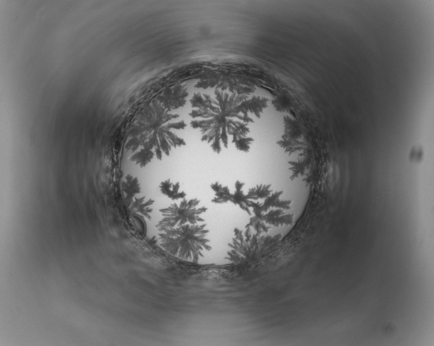 X0000112040966200908241558