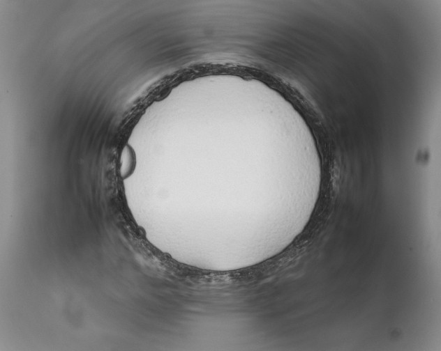 X0000112040968200908241558