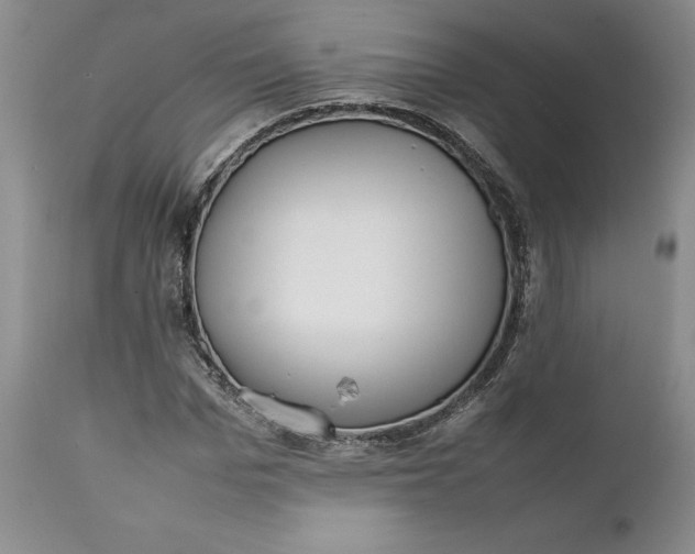 X0000112040969200908241558