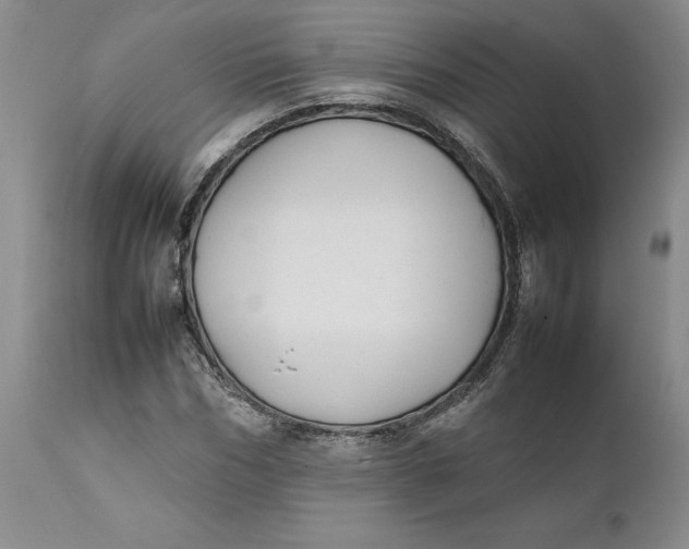 X0000112040970200908241558