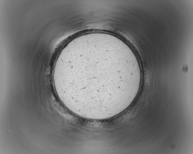 X0000112040971200908241558