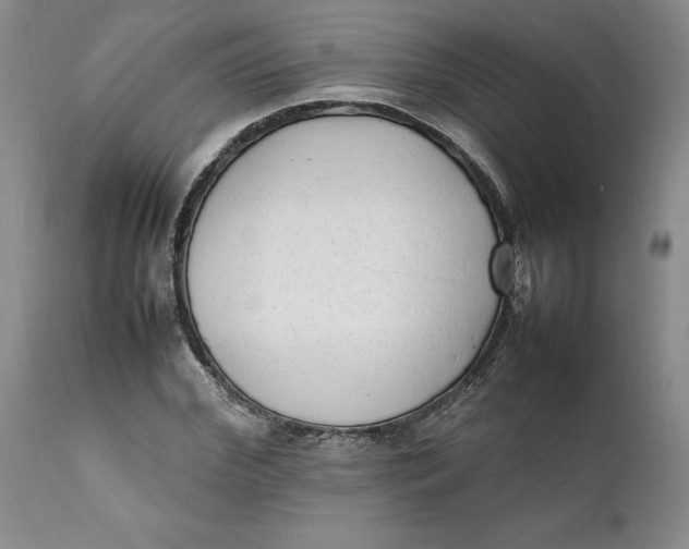 X0000112040972200908241558
