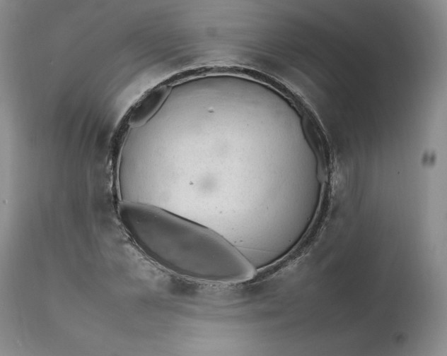 X0000112040973200908241558