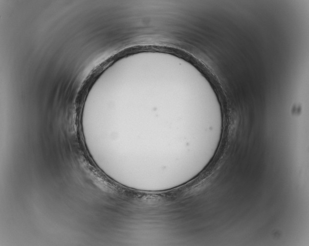 X0000112040974200908241558