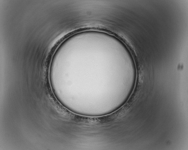 X0000112040975200908241558