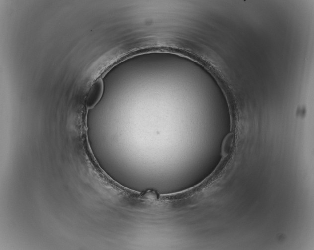 X0000112040977200908241558