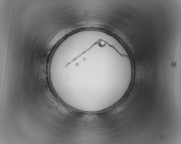 X0000112040978200908241558