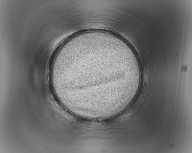 X0000112040979200908241558