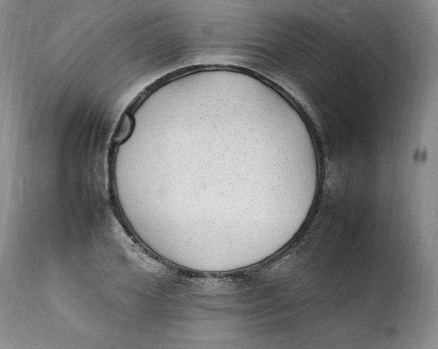 X0000112040980200908241558