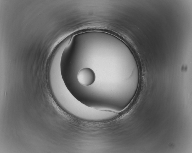 X0000112040981200908241558