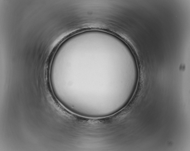 X0000112040983200908241558