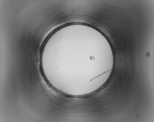 X0000112040984200908241558