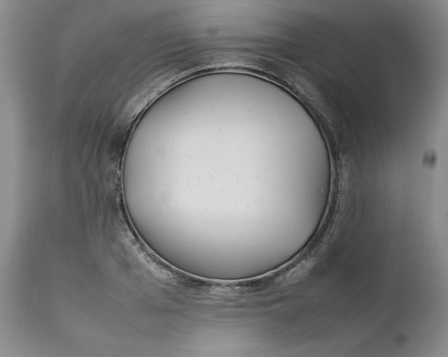 X0000112040985200908241558