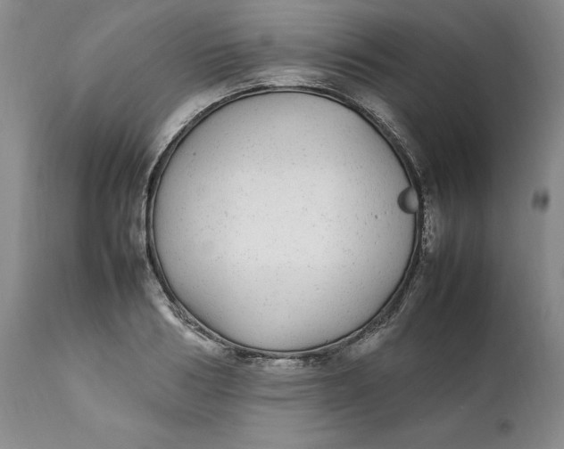 X0000112040986200908241558