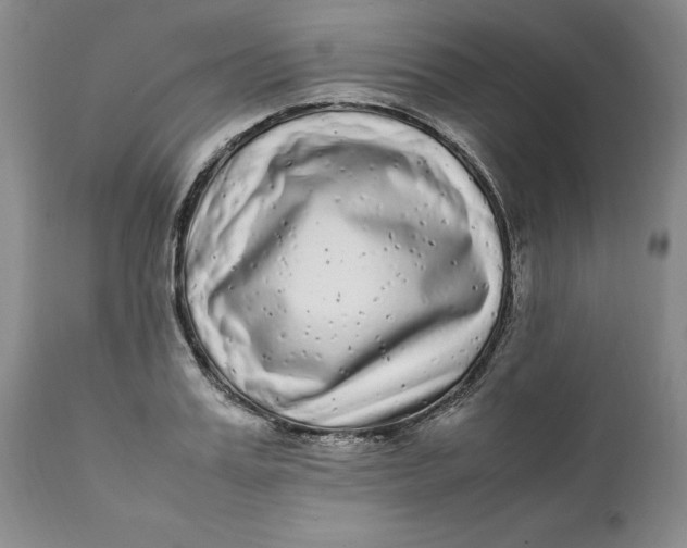 X0000112040987200908241558