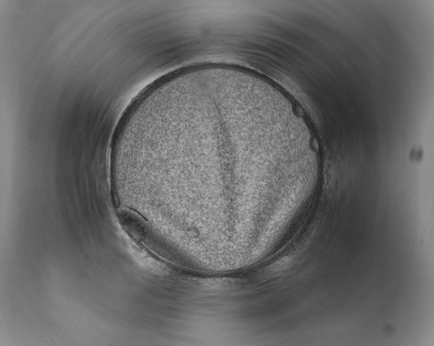 X0000112040988200908241558