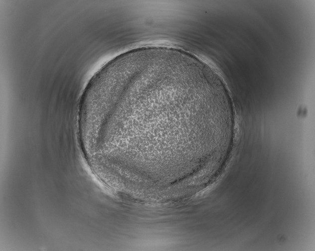 X0000112040989200908241558