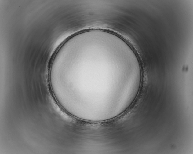 X0000112040990200908241558