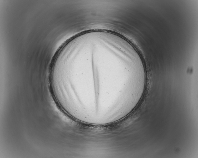 X0000112040991200908241558