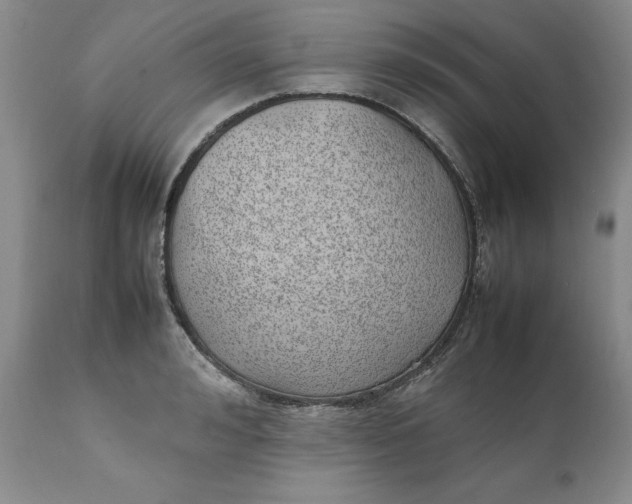 X0000112040992200908241558