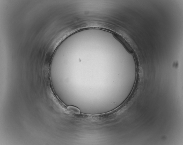 X0000112040993200908241558