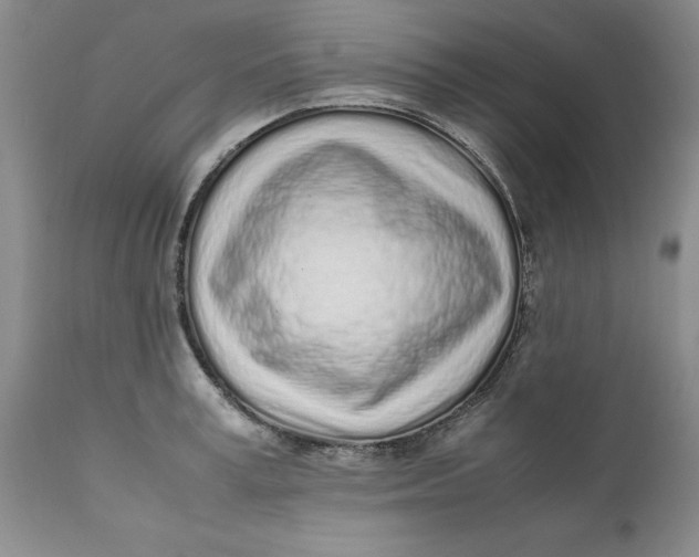 X0000112040995200908241558