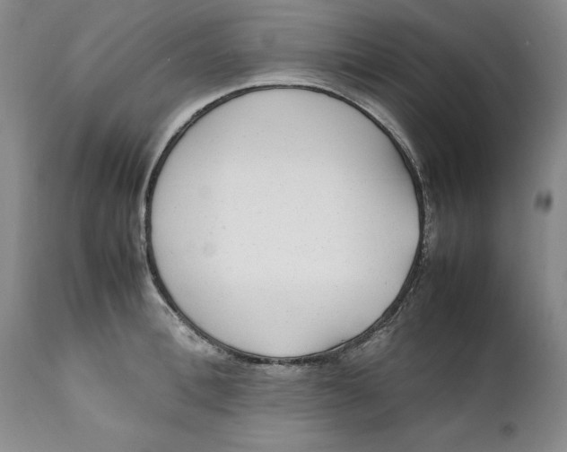 X0000112040996200908241558