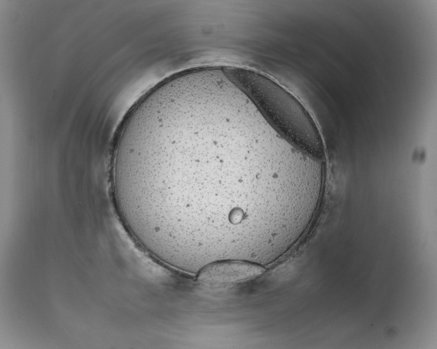 X0000112040997200908241558