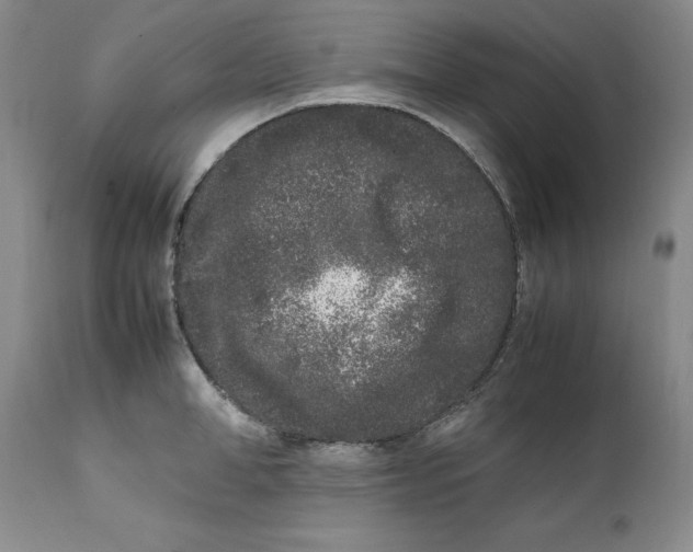 X0000112040998200908241558