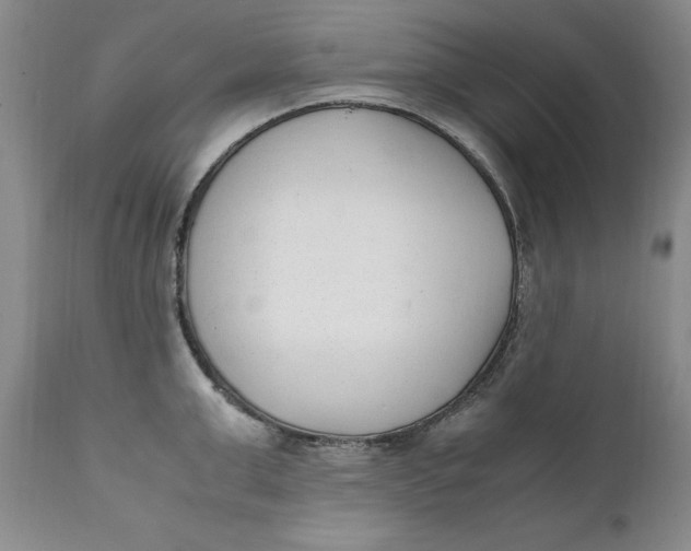 X0000112040999200908241558