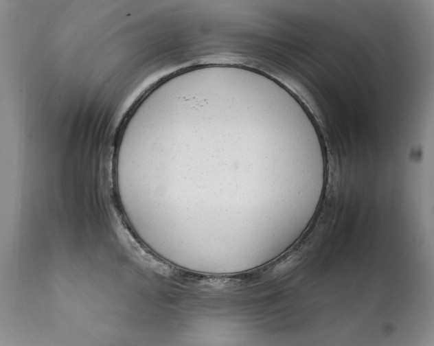 X0000112041000200908241558