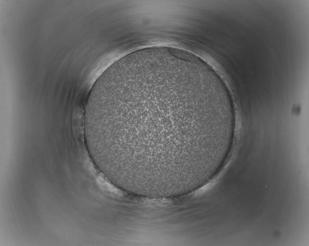 X0000112041001200908241558