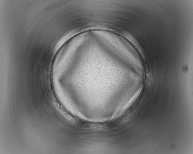 X0000112041002200908241558