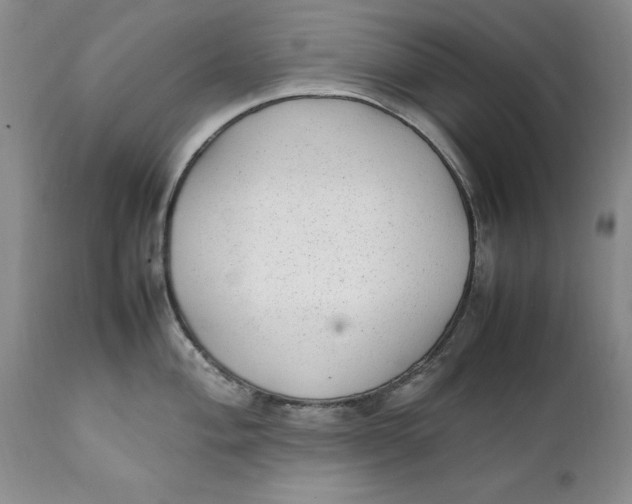 X0000112041004200908241558