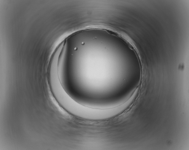 X0000112041005200908241558