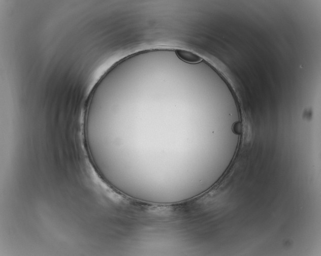 X0000112041006200908241558