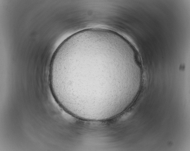 X0000112041007200908241558