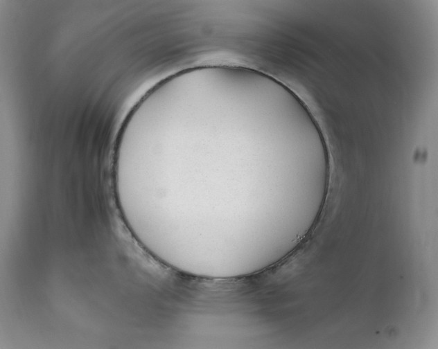 X0000112041008200908241558