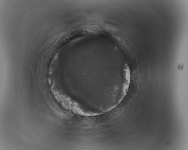 X0000112041009200908241557