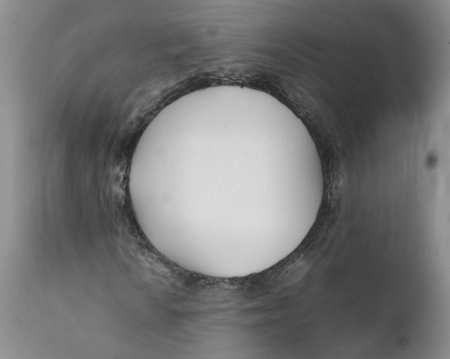 X0000112041010200908241557