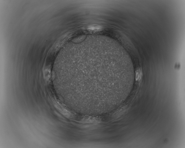 X0000112041011200908241557