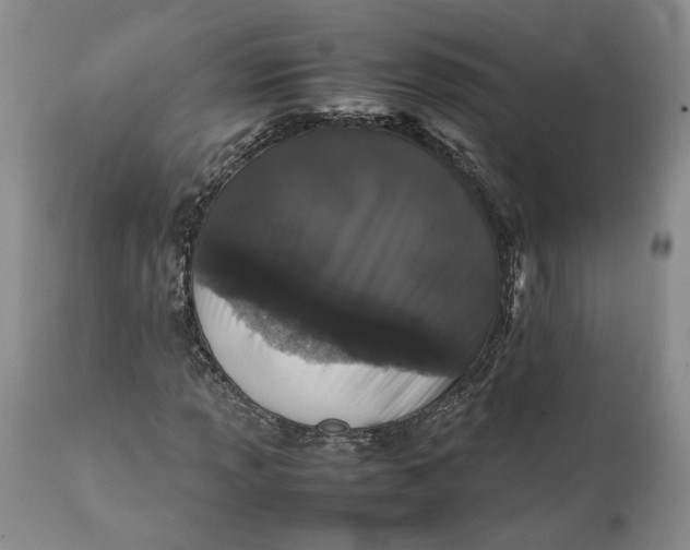 X0000112041013200908241557